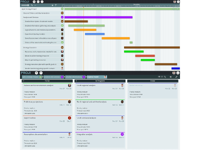 Proji (Strategic project management) Proji (Strategic project management)